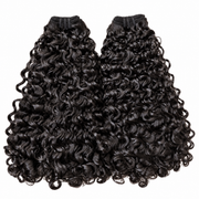 Burmese Curly