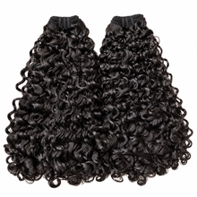 Burmese Curly