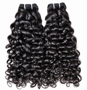 Indian Curly
