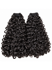 Burmese Curly