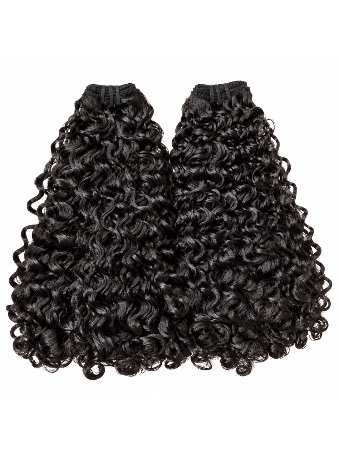 Burmese Curly